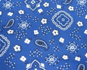Blue Bandana