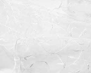 White Embroidered Organza