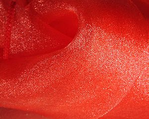 Red Sparkle Organza