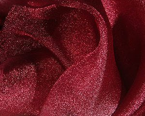 Burgundy Sparkle Organza