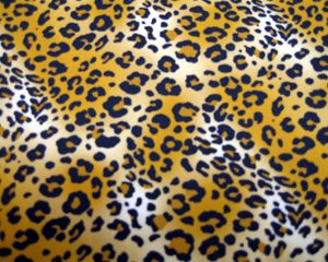 Leopard Print