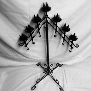 7-branch Adjustable Fan, Black