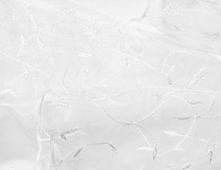 White Embroidered Organza