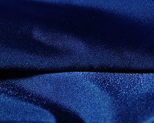 Royal Spandex