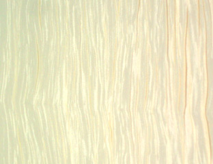 Ivory Crinkle