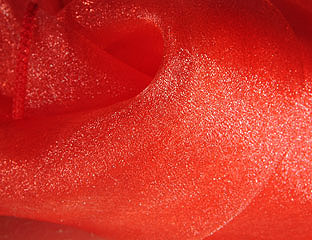 Red Sparkle Organza