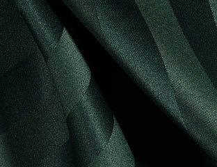 Forest Satin Stripe