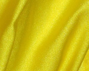 Lemon Spandex
