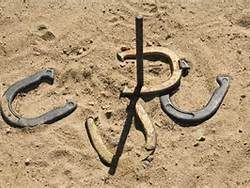 HorseShoe Game