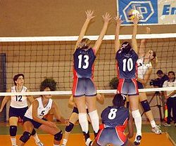 Volleyball Game