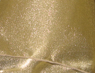 Bronze Sparkle Organza