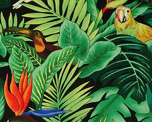 Toucan Print