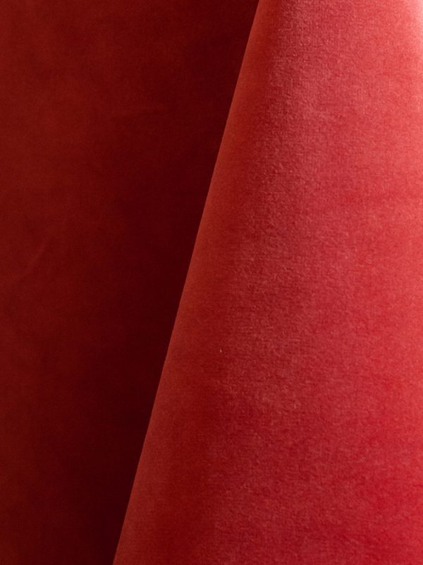 Velvet Coral