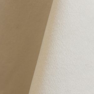 Velvet Ivory