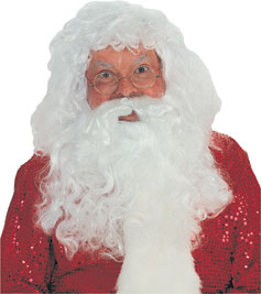 Synthetic Beard and Wig Set
