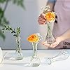 Bud Vase, 6"