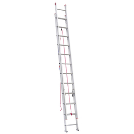 Extension Ladder, 24'