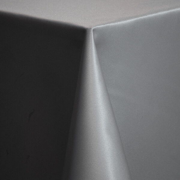 Matte Satin Platinum