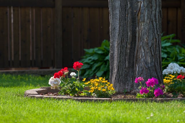 6 Flowers to Plant This Spring to Repel Pests at Your Backyard Event