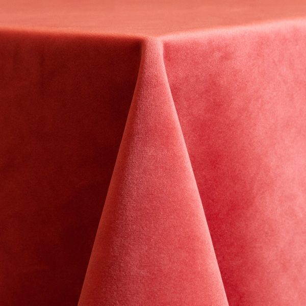Velvet Coral